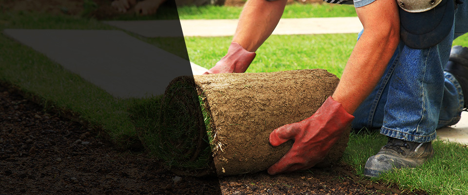 Noblesville Landscapers